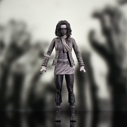 The Walking Dead Comic Series 1 - Michonne Black & White Action Figure